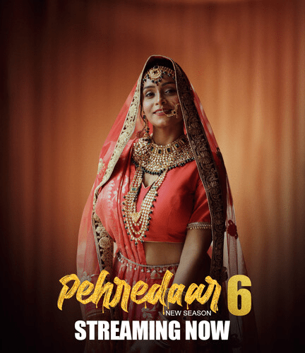 Pehredaar 6 (2024) Bigplay Web Series 1080p | 720p | 480p HDRip E04 – T06 Download