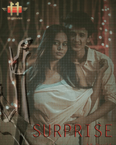 Surprise 2024 S01E02 Hindi 1UpMovies Web Series 720p HDRip 160MB Download