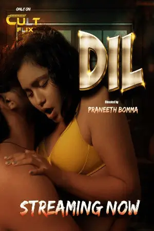 Dil 2024 CultFlix S01E01T02 Hindi Series 720p HDRip Download